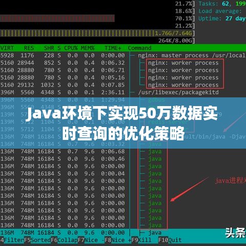 Java环境下实现50万数据实时查询的优化策略