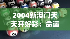 2004新澳门天天开好彩：命运的轮盘如何转动