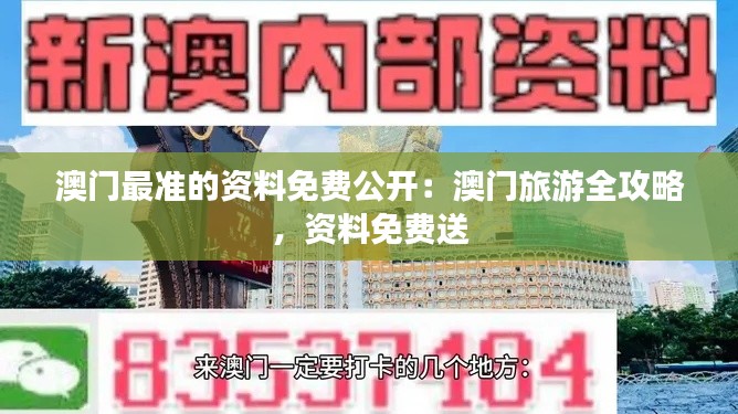 澳门最准的资料免费公开：澳门旅游全攻略，资料免费送