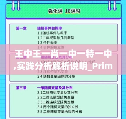 王中王一肖一中一特一中,实践分析解析说明_Prime4.142