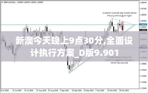 新澳今天晚上9点30分,全面设计执行方案_D版9.901