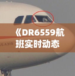 《DR6559航班实时动态：追踪空中之旅》