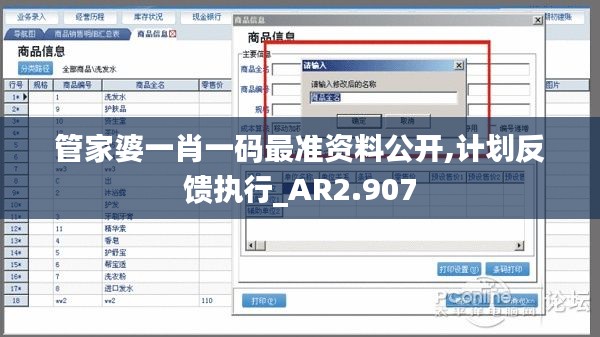 管家婆一肖一码最准资料公开,计划反馈执行_AR2.907