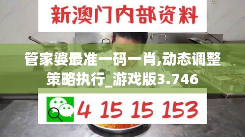 管家婆最准一码一肖,动态调整策略执行_游戏版3.746