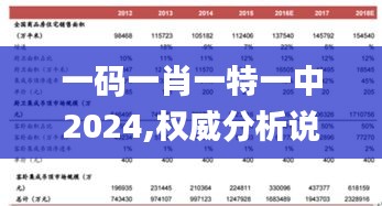 一码一肖一特一中2024,权威分析说明_特别款6.376