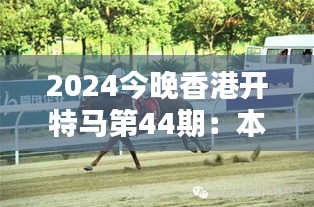 2024今晚香港开特马第44期：本年度不容错过的赛马盛宴