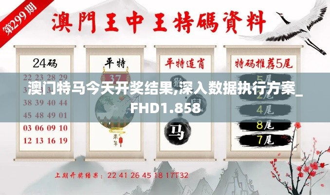 澳门特马今天开奖结果,深入数据执行方案_FHD1.858