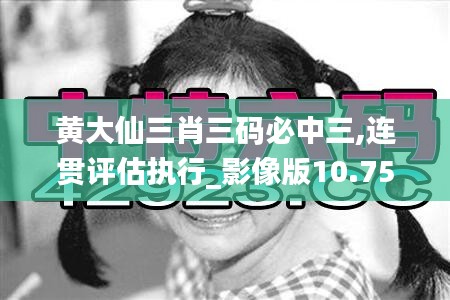 黄大仙三肖三码必中三,连贯评估执行_影像版10.753