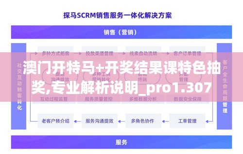 澳门开特马+开奖结果课特色抽奖,专业解析说明_pro1.307