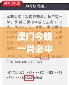 澳门今晚一肖必中特,涵盖广泛的解析方法_挑战款17.788