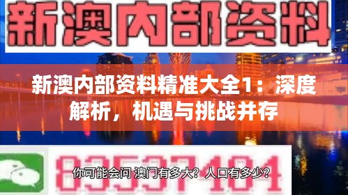 新澳内部资料精准大全1：深度解析，机遇与挑战并存