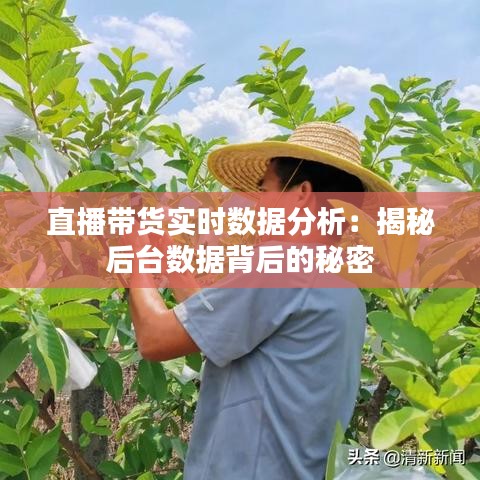 直播带货实时数据分析：揭秘后台数据背后的秘密