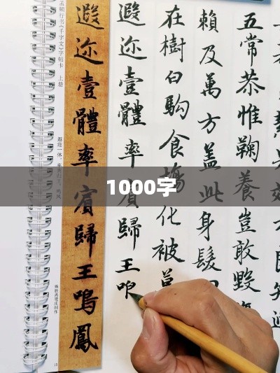 1000字