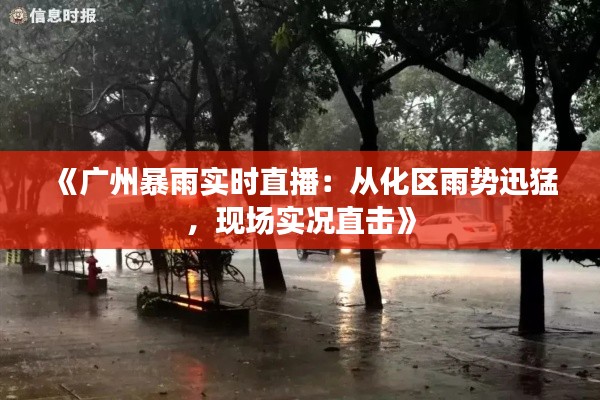 《广州暴雨实时直播：从化区雨势迅猛，现场实况直击》