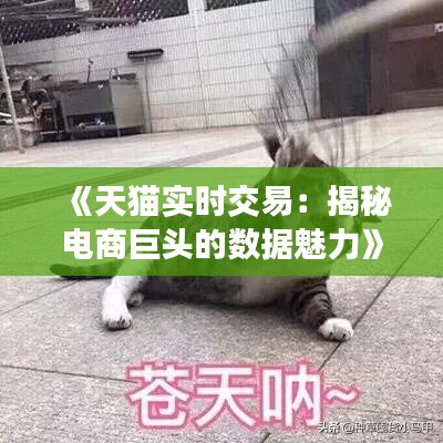 《天猫实时交易：揭秘电商巨头的数据魅力》