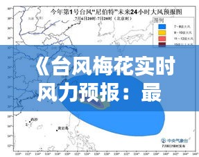 《台风梅花实时风力预报：最新动态与应对策略》