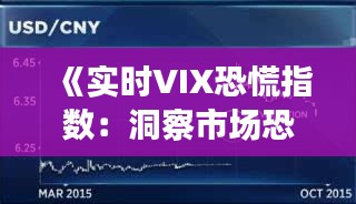 《实时VIX恐慌指数：洞察市场恐慌情绪的窗口》