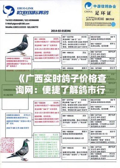 《广西实时鸽子价格查询网：便捷了解鸽市行情》