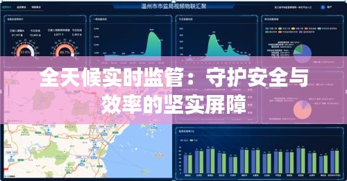 全天候实时监管：守护安全与效率的坚实屏障