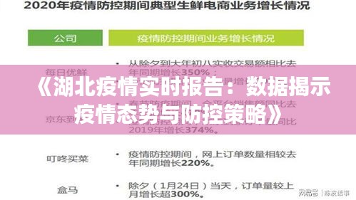 《湖北疫情实时报告：数据揭示疫情态势与防控策略》