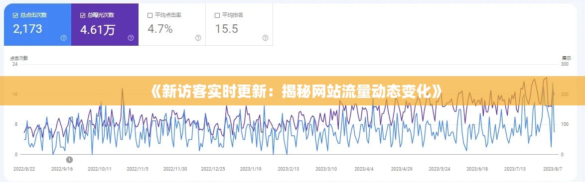 《新访客实时更新：揭秘网站流量动态变化》