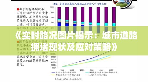 吸附材料 第49页