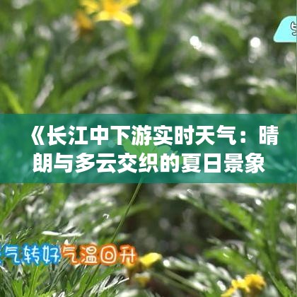 《长江中下游实时天气：晴朗与多云交织的夏日景象》