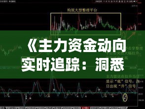 《主力资金动向实时追踪：洞悉市场脉搏的秘诀》