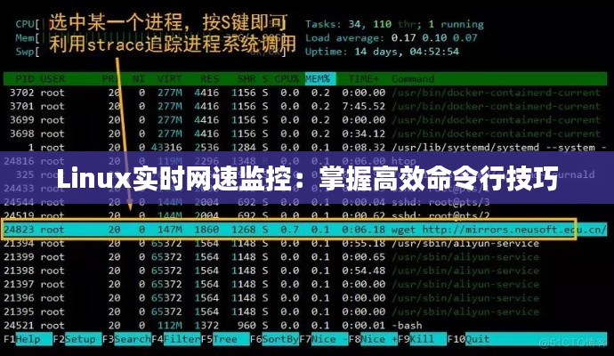 Linux实时网速监控：掌握高效命令行技巧