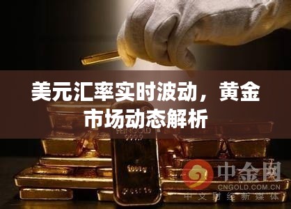 美元汇率实时波动，黄金市场动态解析