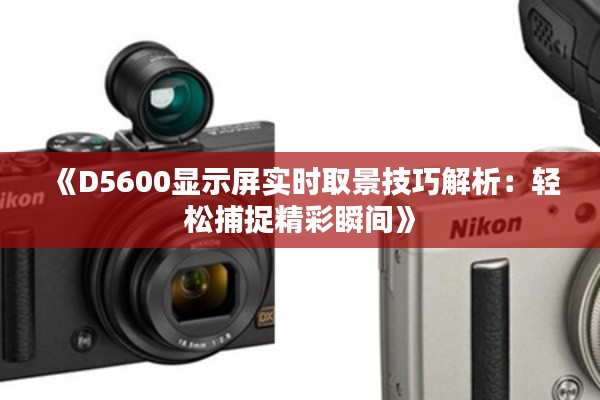 《D5600显示屏实时取景技巧解析：轻松捕捉精彩瞬间》