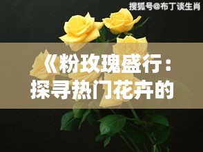 《粉玫瑰盛行：探寻热门花卉的魅力与意义》