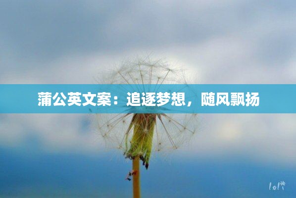 蒲公英文案：追逐梦想，随风飘扬