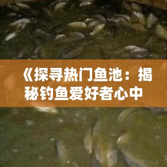 《探寻热门鱼池：揭秘钓鱼爱好者心中的圣地》