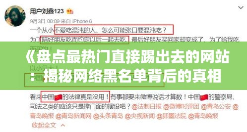 《盘点最热门直接踢出去的网站：揭秘网络黑名单背后的真相》