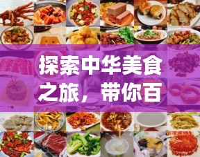 探索中华美食之旅，带你百度菜式，品味美食文化！