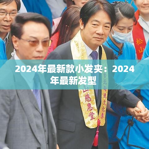 2024年最新款小发夹：2024年最新发型 