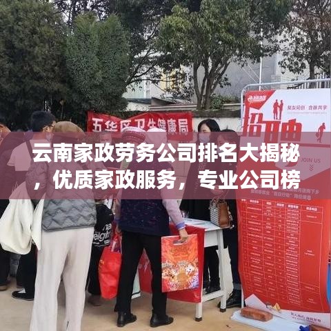 云南家政劳务公司排名大揭秘，优质家政服务，专业公司榜单出炉！