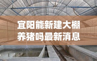 宜阳能新建大棚养猪吗最新消息：宜阳县养殖合作社 