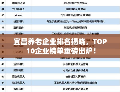 宜昌养老企业排名揭晓，TOP 10企业榜单重磅出炉！