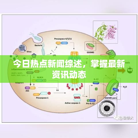 今日热点新闻综述，掌握最新资讯动态