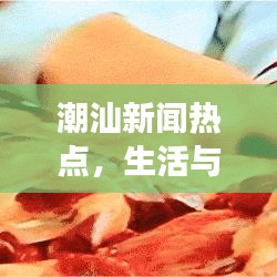 潮汕新闻热点，生活与时代脉搏的探索