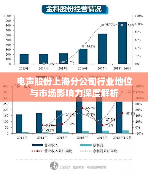 电声股份上海分公司行业地位与市场影响力深度解析