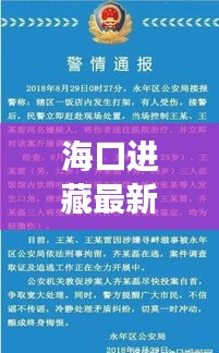 海口进藏最新规定详解，举旗要求及注意事项一网打尽