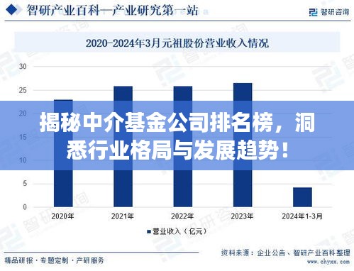 揭秘中介基金公司排名榜，洞悉行业格局与发展趋势！