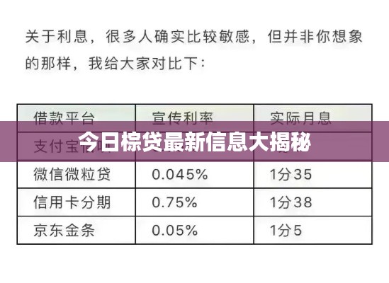 今日棕贷最新信息大揭秘