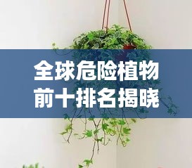 全球危险植物前十排名揭晓，致命魅力的警示与图片揭秘