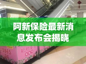 阿新保险最新消息发布会揭晓重磅动态