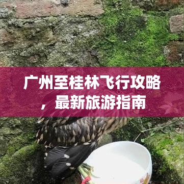 广州至桂林飞行攻略，最新旅游指南