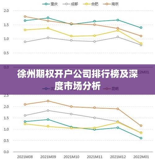 徐州期权开户公司排行榜及深度市场分析